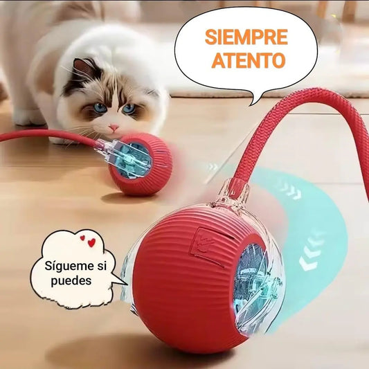 Pelota con cuerda juguetona