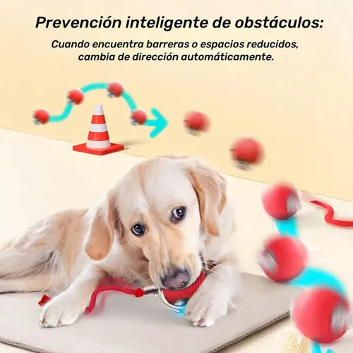 Pelota con cuerda juguetona